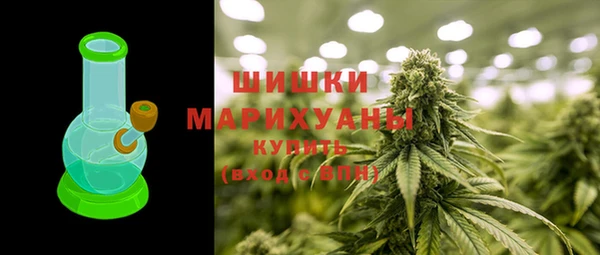 стаф Балахна