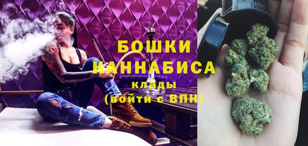 прущие грибы Баксан