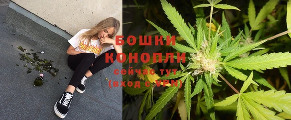 стаф Балахна