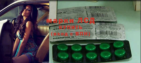 прущие грибы Баксан