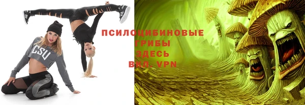 прущие грибы Баксан