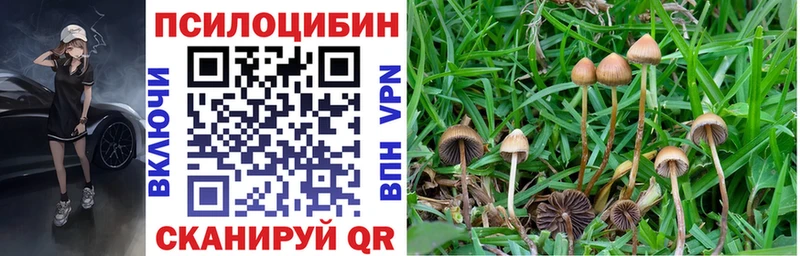 Псилоцибиновые грибы MAGIC MUSHROOMS Болгар