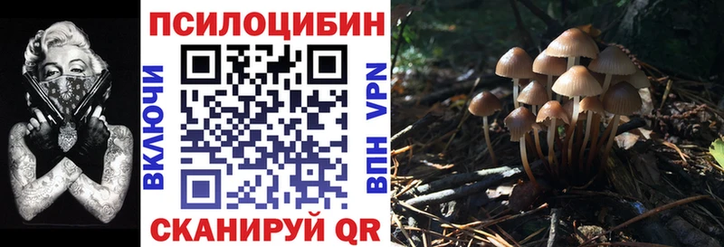 Псилоцибиновые грибы Magic Shrooms  где можно купить наркотик  Болгар 